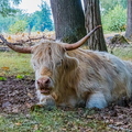 Fauna en Flora